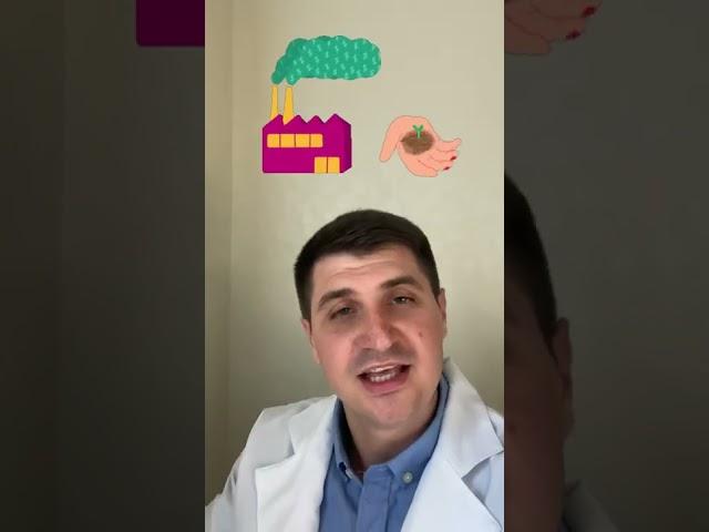 Аюрведа и другое растительное сырье в чем вред?