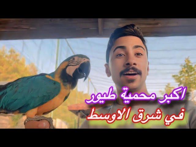 اكبر محمية طيور في سليمانية-العراق  The largest bird sanctuary