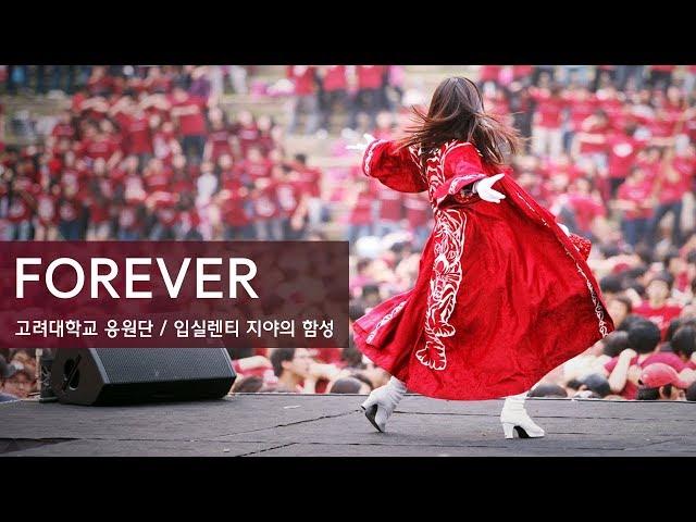 포레버 Forever - 입실렌티 응원 / 고려대학교응원단 / 고려대 응원가