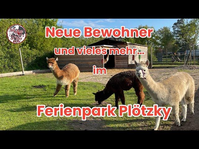 Erlebnis-und Ferienpark Plötzky, neue Bewohner+neue Projekte auf dem Familiencampingplatz #camping