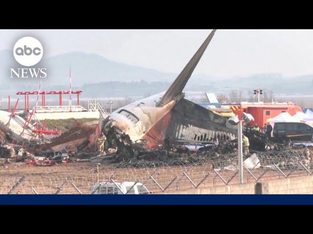 Aviation expert on possible causes of South Korean jet crash