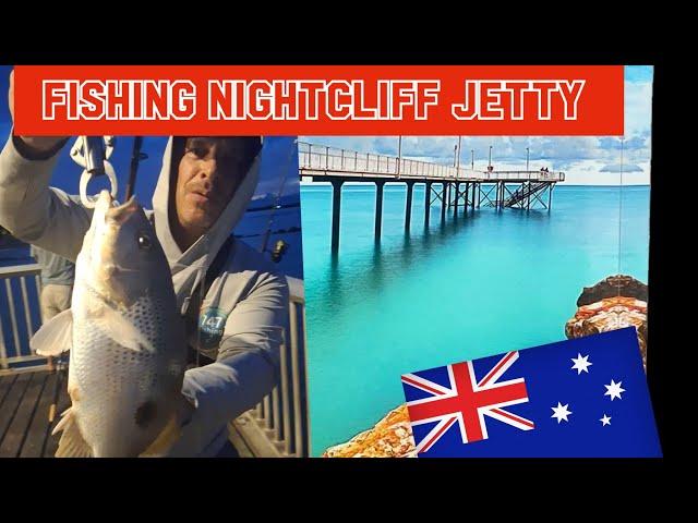 "Non-Stop Action at Nightcliff Jetty – Day & Night Fishing with Blacktip Sharks!"