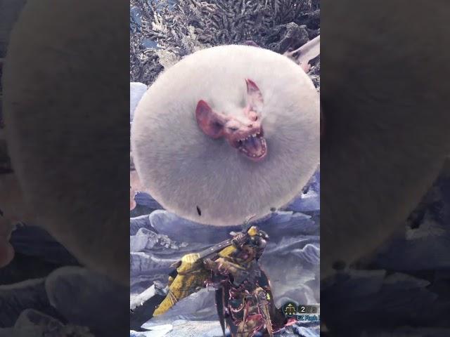 TRUE CHARGE AT PAOLUMU FELT SO AMAZING【モンスターハンターワールド】