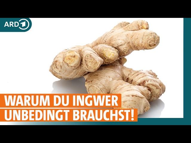 Ingwer: Das kann der Immunbooster wirklich I ARD Gesund