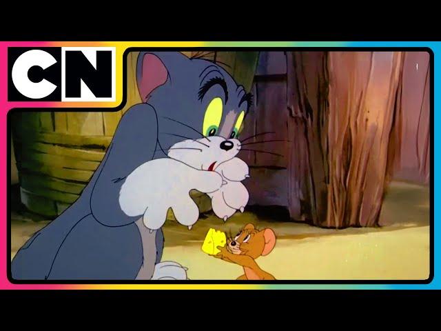 Tom and Jerry  | Feline’s Fiery Mission! | Compilation | Cat and Mouse | @cnindia