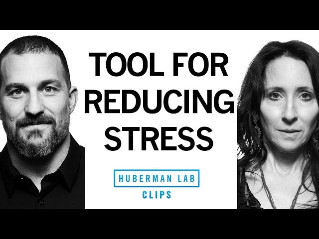 How to Lower Stress & Become Comfortable With Uncertainty | Dr. Elissa Epel & Dr. Andrew Huberman