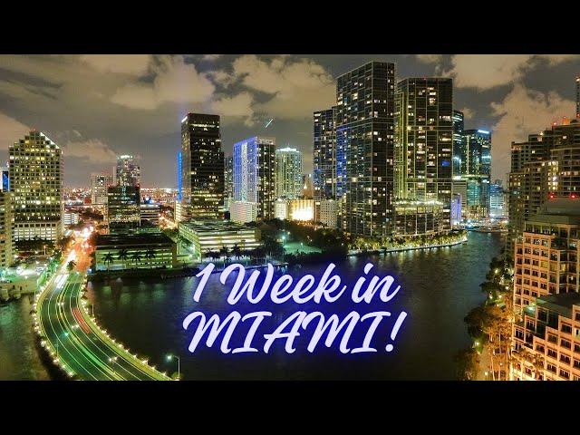 Miami in a Week The Ultimate Travel Guide 2024