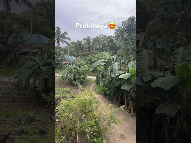 #shorts #shortsviral #update #bohol #philippines #provincelife #highlights #fypシ゚viral #ofw #ads