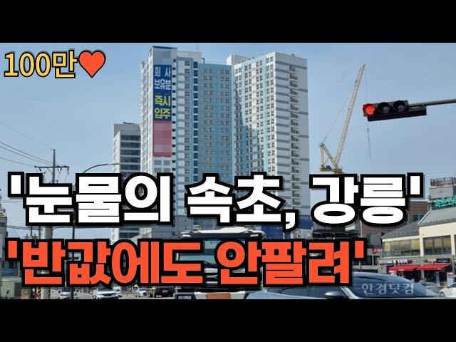 "외지인들이 다 망쳐 놨어요" 눈물의 속초, 강릉 부동산 몰아보기(280만 시청)