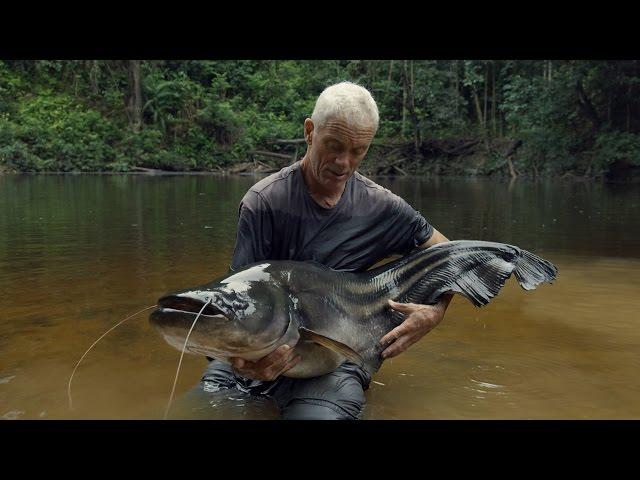 Watch Jeremy Finally Reel In This Elusive And Deadly Tapah | River Monsters