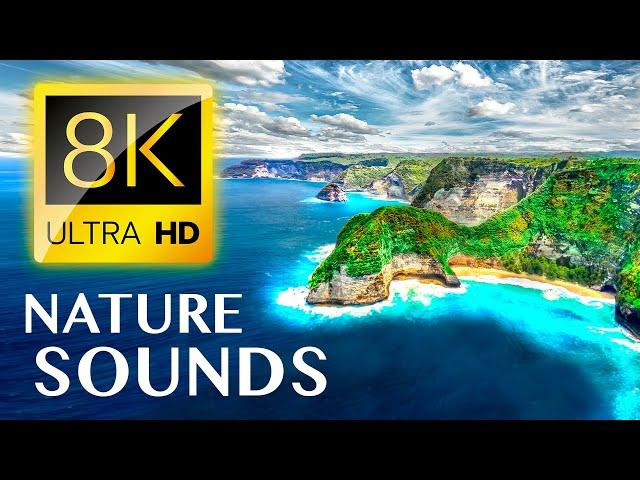 THE EARTH with NATURE SOUNDS 8K VIDEO ULTRA HD