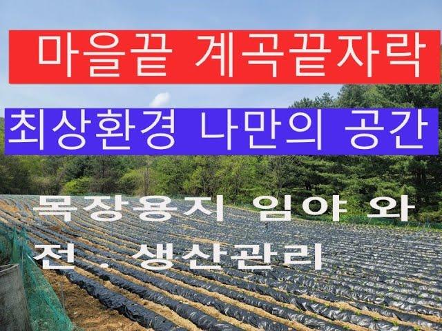 횡성부동산 마을끝 계곡끝 완벽한 독립공간 편리한 접근성 임야 목장용지21175평 전800평 임야 6000평 합28.000평