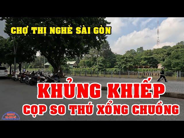 KHỦNG KHIẾP NGHE TIN CỌP XỔNG CHUỒNG - CHỢ THỊ NGHÈ SÀI GÒN NÀY NAY