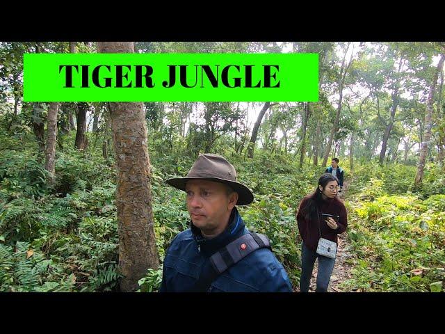 The JUNGLE BOOK Forest of Nepal: CHITWAN NATIONAL PARK