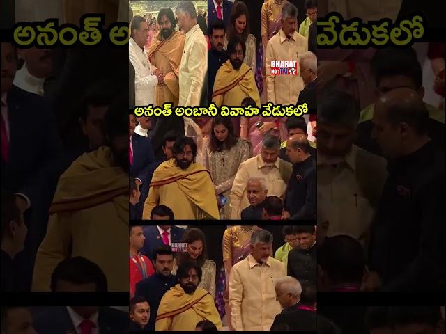 అనంత్ అంబానీ వివాహ వేడుకలో | Pawan Kalyan With Mukesh Ambani | Cm Chandrababu | Bharat No1 Tv