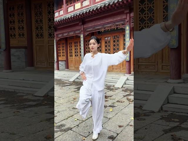 身着白衣，心有锦缎中华武术博大精深 传扬中华文化 武术 内家拳 太极拳