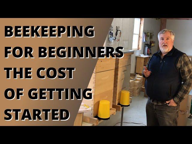 Beekeeping for beginners - The costs of getting started.