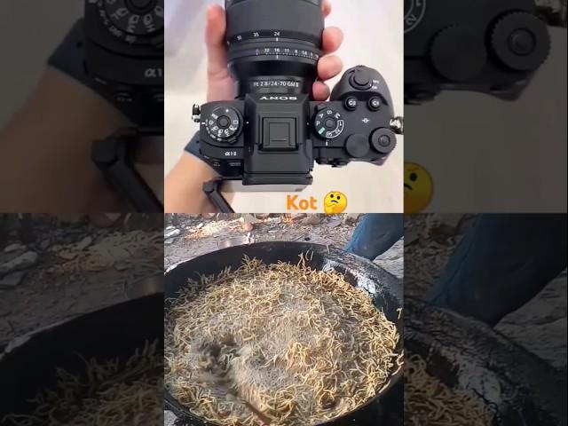 kot %÷️