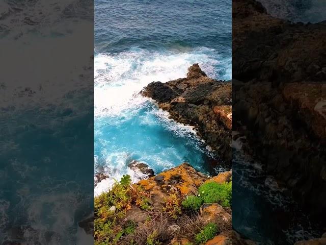 Canarias . Más en el canal #shortsvideo #tenerife #canarias #viral #shortsfeed