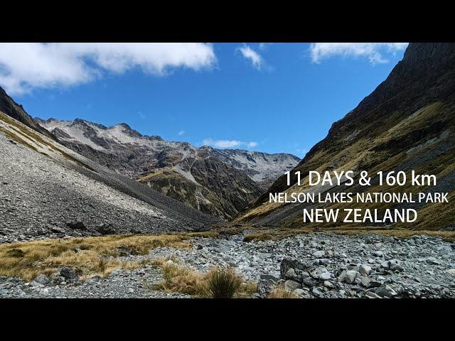 11 Day Hike Through Nelson Lakes National Park, New Zealand