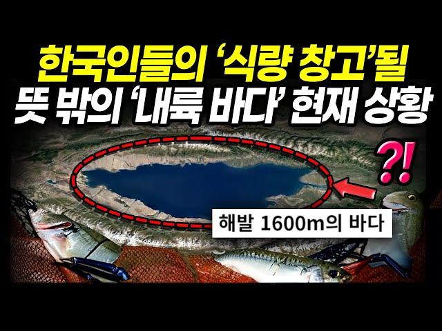 한국인들의 ‘식량 창고’될 뜻밖의 ‘내륙 바다’ 현재 상황 