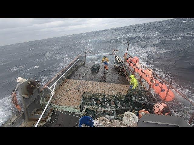 Offshore Lobster Fishing