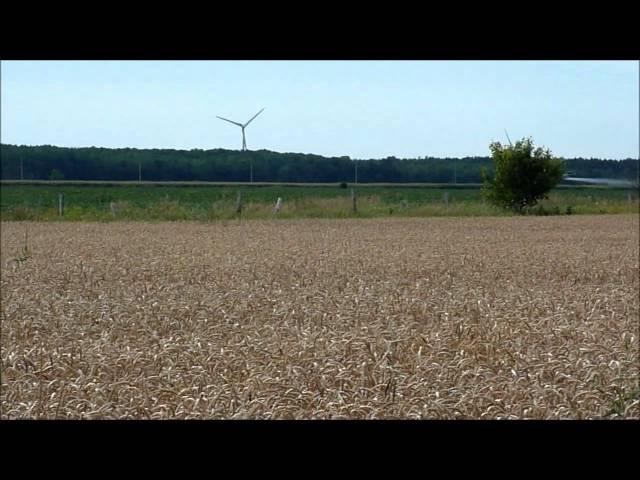 Spraying corn with helicopter