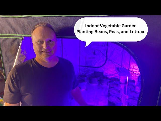 Plant Beans, Peas, Lettuce indoor Gardening