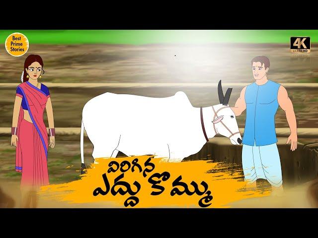 Manchi Neethi Katha - విరిగిన ఎద్దు కొమ్ము    - Good Moral Stories - Best Prime Storis