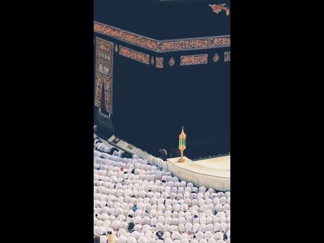 LABAIK ALLAH HUMA LABAIK by owais qadri | Hajj Whatsapp Status | Hidden Truth