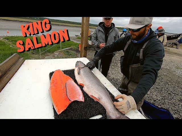 How to Fillet a 20lb. King Salmon...Quick and Efficient!