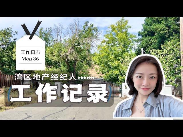 帮客人卖豪宅｜地产经纪人工作的一天｜旧金山湾区地产经纪人｜美国硅谷地产经纪人｜卖房子要注意什么？shannon服务湾区卖房买房｜专业诚信可靠