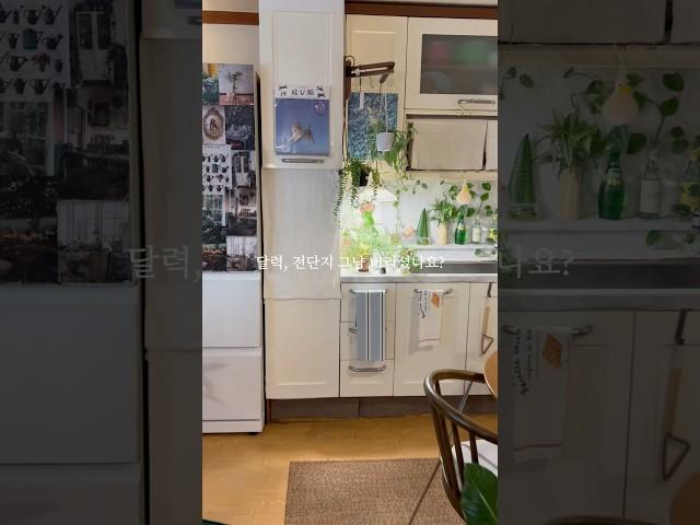 가성비에 감성까지 다잡은 집꾸미기 꿀팁 #플랜테리어 #인테리어 #인테리어꿀팁
