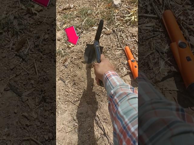 treasure hunt using metal detector #treasurehunt #metaldetecting #foundgold #shortsfeed #hunt #yt