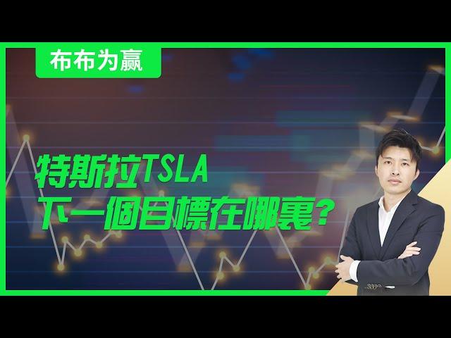 【布布为赢】特斯拉TSLA下一个目标在哪里？