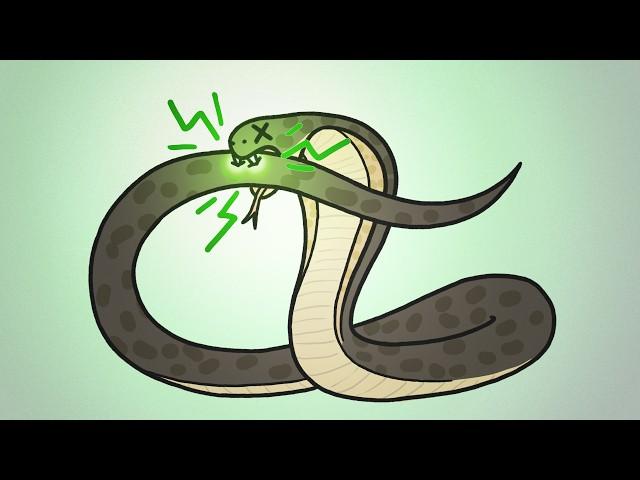 Why Don't Snakes Poison Themselves?