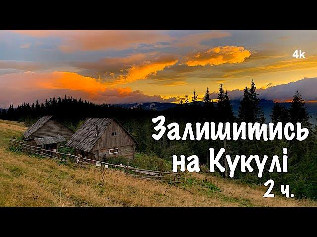 Карпати. Зайшов в покинуту хату, ночую першу ніч. Залишитись на Кукулі 2 Wildlife of the Carpathians