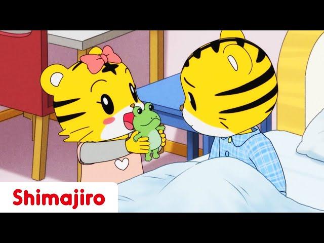 Hannah Becomes a Grown-up | Family | 24 Minute Compilation | Kids video for Kids | Shimajiro