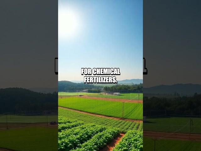 Exploring AI-Driven Soil Monitoring in Agriculture