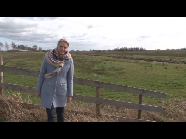 GPTV: Weidevogels overleven door Friese samenwerking