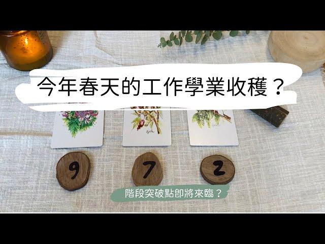 塔羅占卜今年春季（近三個月）的工作學業收穫？階段突破點來臨了嗎？ 艸艸Tarot | Pick a card.