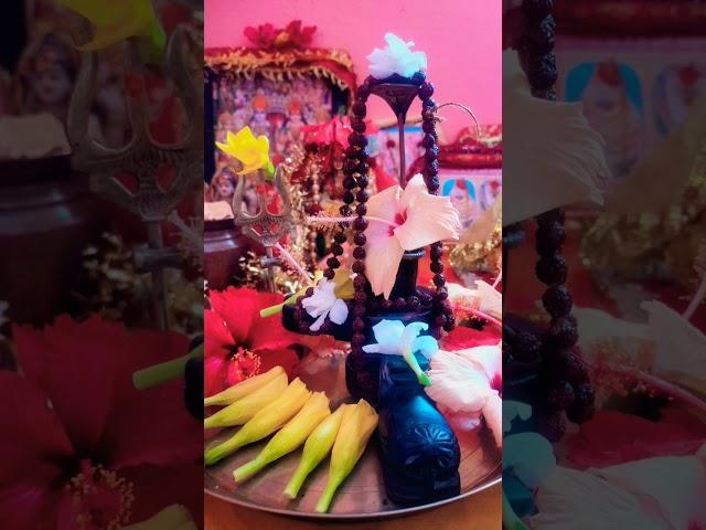 #viralshorts #mahadev #shivgurukesaavankegaana #song #music #tseries #bhakti