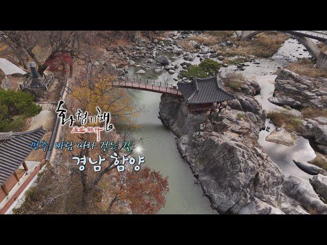 한국의 미, 일두고택, 농월정, 산양삼[화첩기행 만추, 바람따라 걷는 길 - 함양]