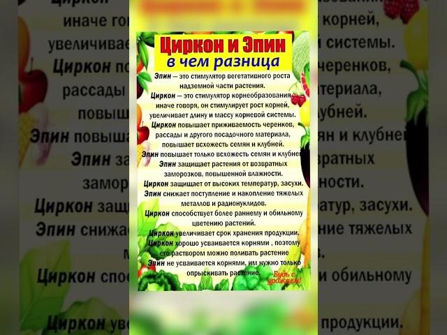 Эпин и Циркон  #удобрения #сад #рекомендации