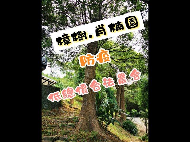 樟樹 宵楠園 防疫低總價合法農舍