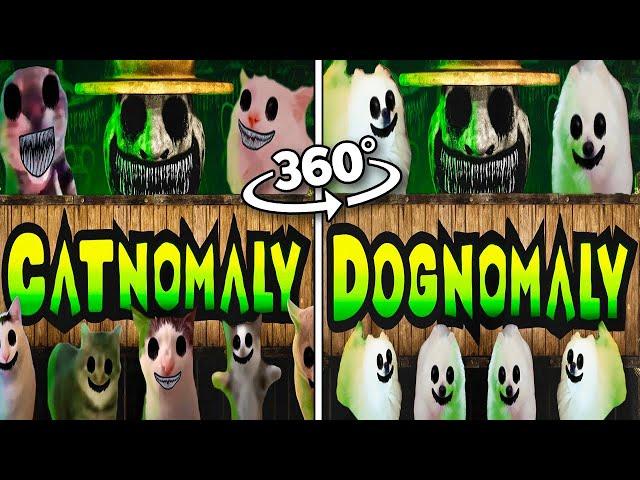 360° VR CATNOMALY vs DOGNOMALY