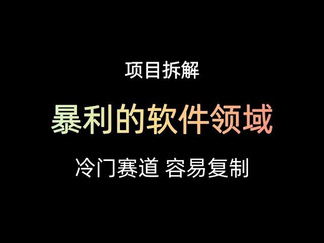 冷门项目，软件领域暴利项目拆解