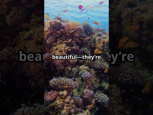 amazing facts about our blue planet