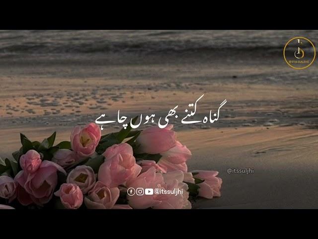 Heart Touching Hamd Status 2023 | New Nazam Status 2023 | WhatsApp Status | Islamic Naat Status