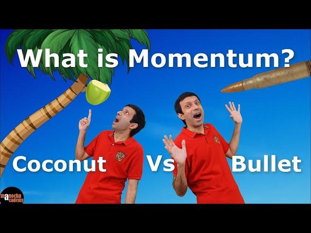 What is Momentum ?